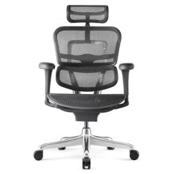 Ergohuman medical chair